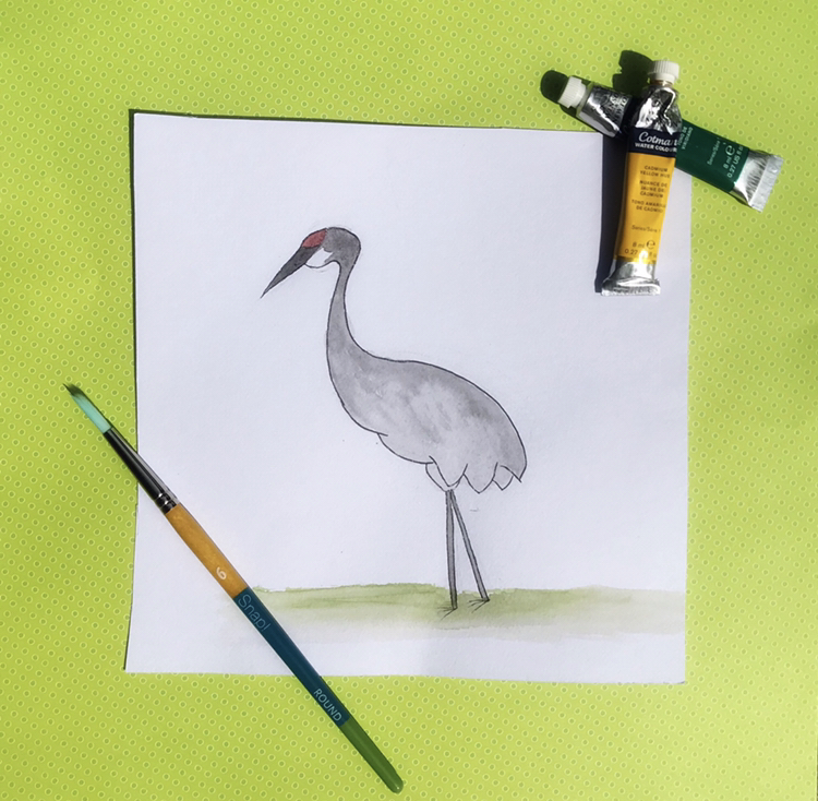 Stock Art Drawing of a Siberian Crane